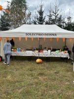 Święto Dyni