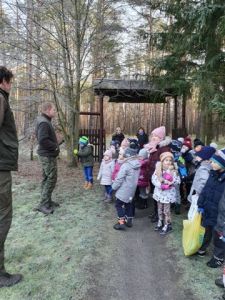 Choinka dla zwierząt
