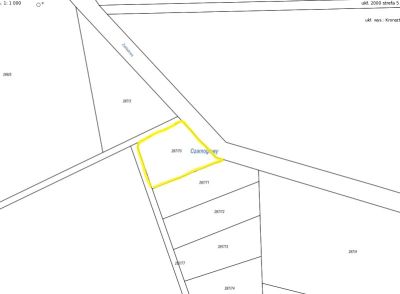 czarnoglowy zakladowa