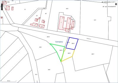 2022 04 22 czarnoglowy 1