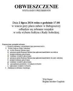 8 Babigoszcz