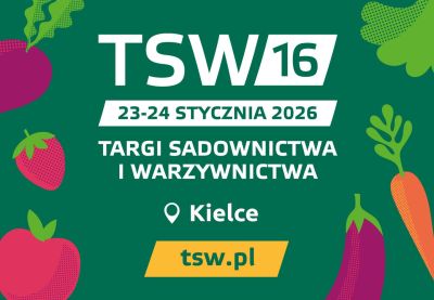 TSW 2026