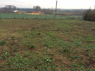 Ekologiczne przydomowe oczyszczalnie ścieków